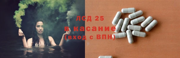 ПСИЛОЦИБИНОВЫЕ ГРИБЫ Переславль-Залесский
