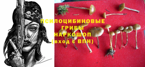 прущий лед Арсеньев