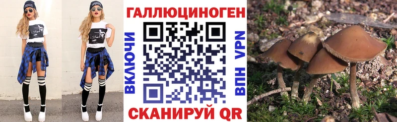 Галлюциногенные грибы MAGIC MUSHROOMS Саки